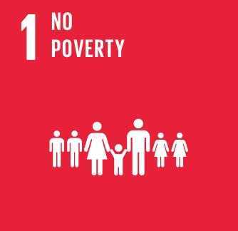 1. No Poverty