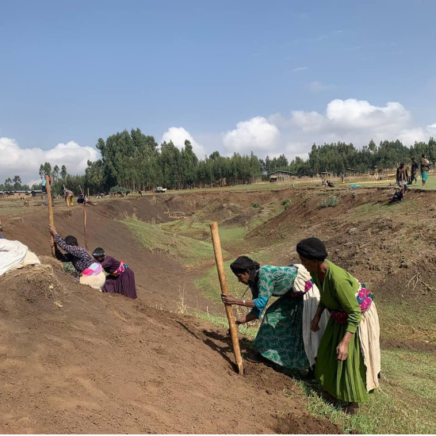 Water, Plants and Animals for a Sustainable Ethiopia