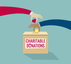 Individual Donations